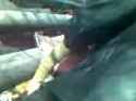 DRUNK RAPE_thumb.jpg