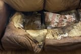 lacey-ellen-fletcher-couch-wide