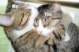 MEandYOU