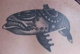 tat6