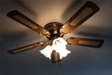 celing fan