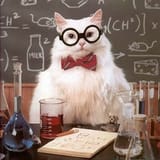 catprofessor