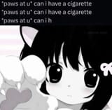 87b298db24ed27d7ecfacd61ba7b5a5a