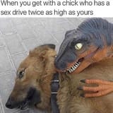 memes-canidae-when-you-get-with-a-chick-who-has-a-sex-drive-twice-as-high-as-yours