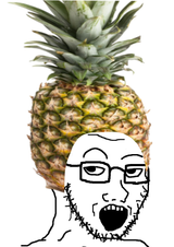 plesmug