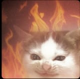 firecat