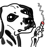 1743576025281339