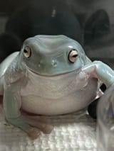 Gu3iLpQWwAAWkHN
