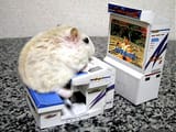 gaming_mouse