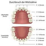 csm_Druchbruch_der_Milchzaehne_800x800px_162291ffcf