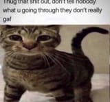 1702422177819280