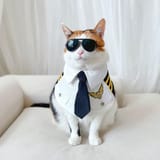 CatCaptain