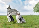castlekeepers
