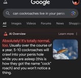 cock roach