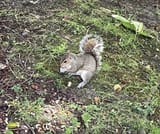 IMG_5222