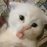 b1e86b8af3b1ebb645511e551f3264eb