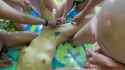 1708925901902511_thumb.jpg