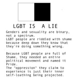 lgbtlie
