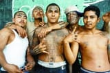 ms13tweet