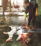 gettyimages-698771-612x612