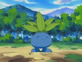 Weed pokemon