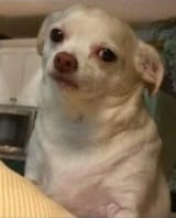 Concern