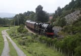 13.08.21_Broomhill_5025_(51399564006)