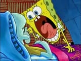 spongebob-scream-at-squidward-meme-9