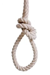noose-isolated-white_104263-169-275320628
