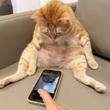 download (87)