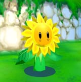 SunflowerkidSMS