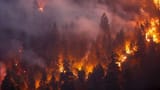 california wildfire