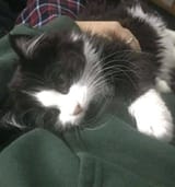nedladdning (5)
