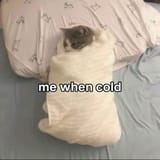 cold