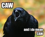 caw