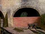 pepe shed