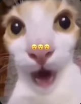 1751741146069420