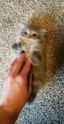 1719022105231152_thumb.jpg
