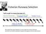 fisherianrunaway