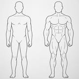 body