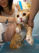 bath