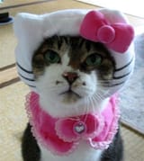 hello-kitty-cat-clothing-01