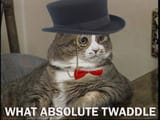 twaddle