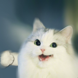 catpow