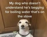 1737554867798150