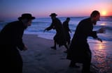 (((beach friends)))