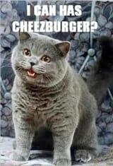 gibz it now