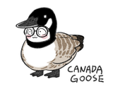goose