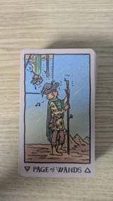 08