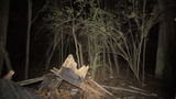 abandoned13